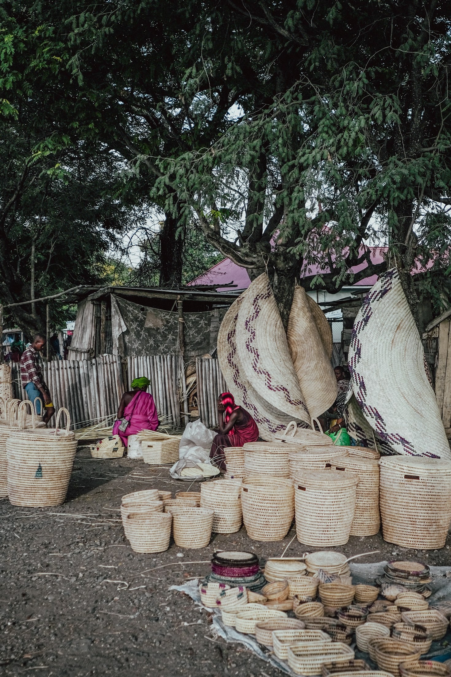 Sustainable Practices In Lâm Đồng Community Production
